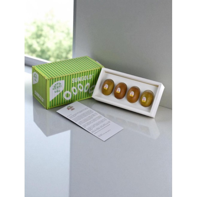 Press kit Zespri Vita Container Personalizado