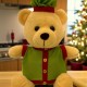 Ursinho Pelúcia  Personalizado